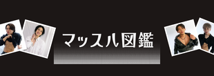 マッスルバー天神マッスル図鑑