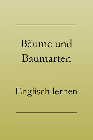 Englisch Vokabeln lernen: Bäume und Baumarten auf Englisch. Tanne, Buche, Fichte