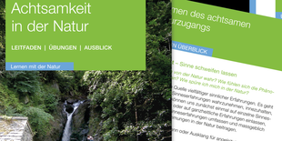 Achtsamkeit in der Natur Kartenset