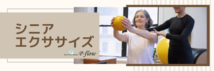 シニア　高齢者