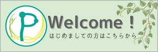 P-flow はじめての方はこちら