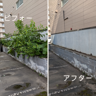 札幌市マンション共用部清掃ビフォーアフターで周囲の雑草が改善された状態