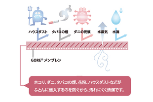 GORE説明図