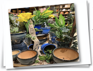 Pot de fleur Toulouse jardinerie