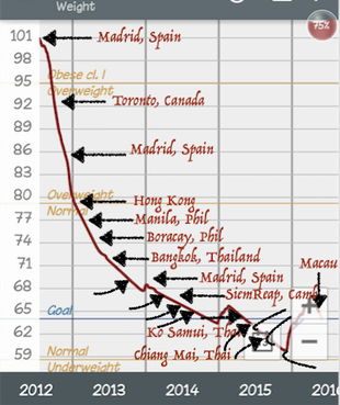 The fit world traveller's weight tracking