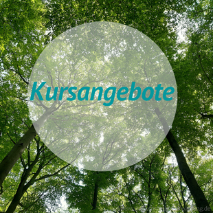 Qi Gong online Kurse und  Kursangebote zur Coronakrise in Mönchengladbach und Jüchen