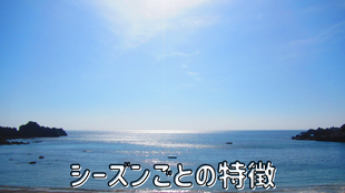 シーズンごとの特徴