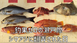 釣果ゼロの瀬戸際　シマアジに翻弄された日