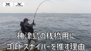 神津島の桟橋用にコルトスナイパーSSを推す理由