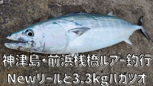 神津島・前浜桟橋ルアー釣行　NEWリールと3.3kgハガツオ