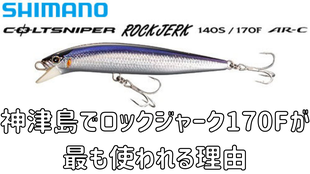 神津島でロックジャーク170Fが最も使われる理由