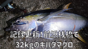 記録更新！前浜桟橋で32kgのキハダマグロ