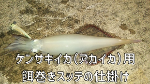ケンサキイカ（アカイカ）用餌巻きスッテの仕掛け