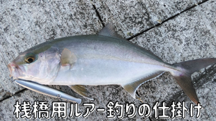 桟橋用ルアー釣りの仕掛け