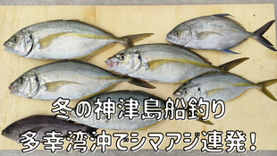 冬の神津島船釣り　多幸湾沖でシマアジ連発！