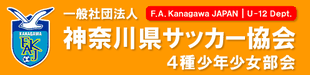 栄光のあしあと 菅fcホームページ 栄光のあしあと 菅fcホームページ
