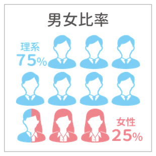 男女比率