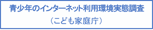 青少年のインターネット利用環境実態調査