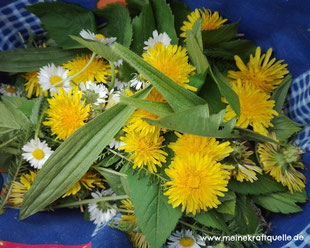 Kraftquelle, Wildkräuterlimonade, Kräuterlimonade, natürliche Zutaten, selbstgemachte Limonade, Naturapotheke, Natur pur, selbstgemachtes aus Wildkräutern