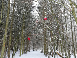 Wochenlieblinge, Kraftquelle, Auszeit im Paradies, Auszeit in der Natur, Wintermagie, verschneiter Wald, verschneiter Winterwald