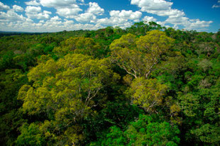 Amazonas, Juruena-Nationalpark in Brasilien