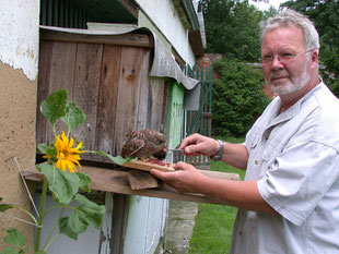 Ulrich Leicht füttert einen Pflegevogel (c) Beuerlein