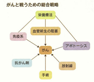 がんと戦うための総合戦略