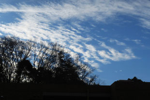 朝起きて空を見たら、この季節にしては珍しい鱗雲(うろこぐも)が出ていた。巻積雲か高積雲か・・・専門分野では無いので分類は出来ないが・・・。