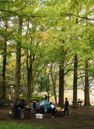 「多摩市大谷戸公園」の一画にあるキャンプ練習場に集まっていた若い人たち。これからバーベキューをするのだろうか。周辺の立木はメタセコイア。もう一週間後なら、もう少し絵になったのだがなぁ。
