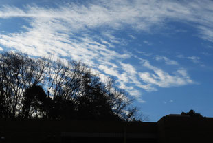 朝起きて空を見たら、この季節にしては珍しい鱗雲(うろこぐも)が出ていた。巻積雲か高積雲か・・・専門分野では無いので分類は出来ないが・・・。