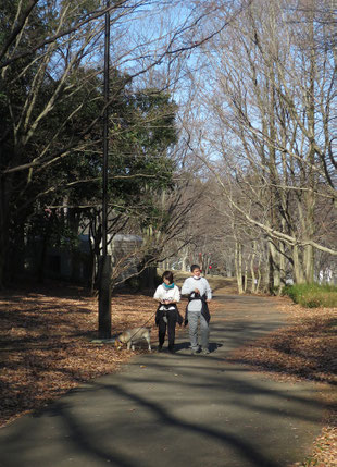 穏やかな冬晴れの公園。犬を散歩させている夫婦(だと思う)と、すれ違った。