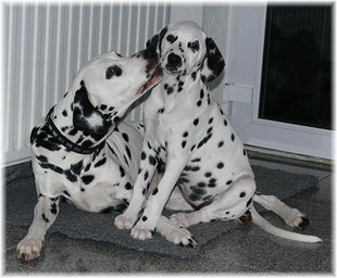Jamie und Frau Sommer