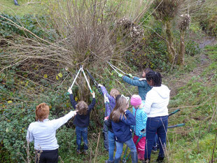 Die Kinder- und Jugendgruppe des NABU Morsbach halfen fleißig beim Pflegeschnitt für die knorrigen Kopfweiden bei Niederdorf. Foto: Christoph Buchen