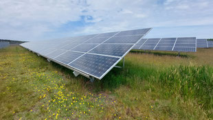 Solarpark in Norddeutschland (Tina Mieritz)