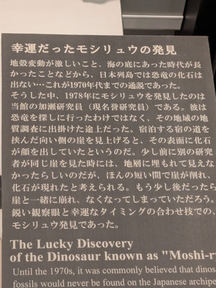 幸運だったモシリュウの発見（国立科学博物館）
