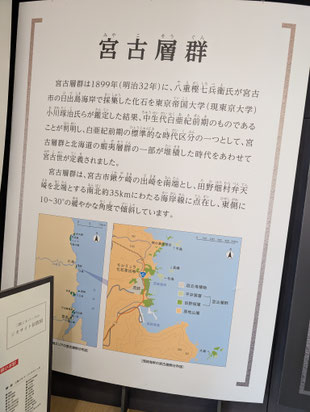 宮古層群説明