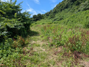 放球監視所と思われるところに向かう