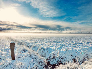 Winter 2026 (c) Alte Schule Bokel