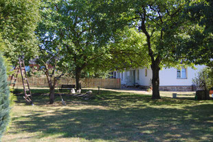 Großer Garten mit Obstbäumen