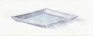 上の絵は青っぽくなっていますが、実際には 白いお皿です