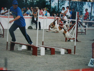 Kümmel vd Holderheide beim Agility