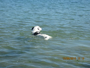 Spike beim Schwimmen"