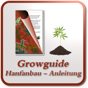 Growguide - Cannabis Anbau Anleitung