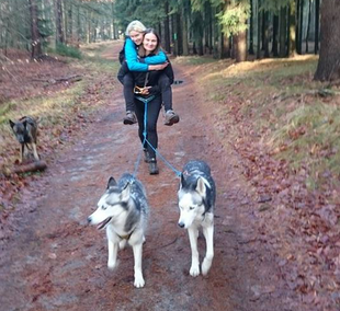 Dogtrekking Dogtrekking Dogtrekking Elbsandstein-Dogtrekking ESDT Harz-Dogtrekking