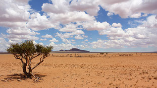 One more day of driving to Sossusvlei