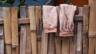 Fence, Gili Air, Indonesia