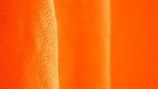 Orange close-up