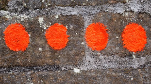 Dots, Ubud, Indonesia