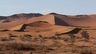 Endless dunes