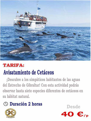 alistamiento de cetáceos en Tarifa